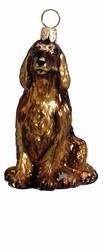 Irish Setter